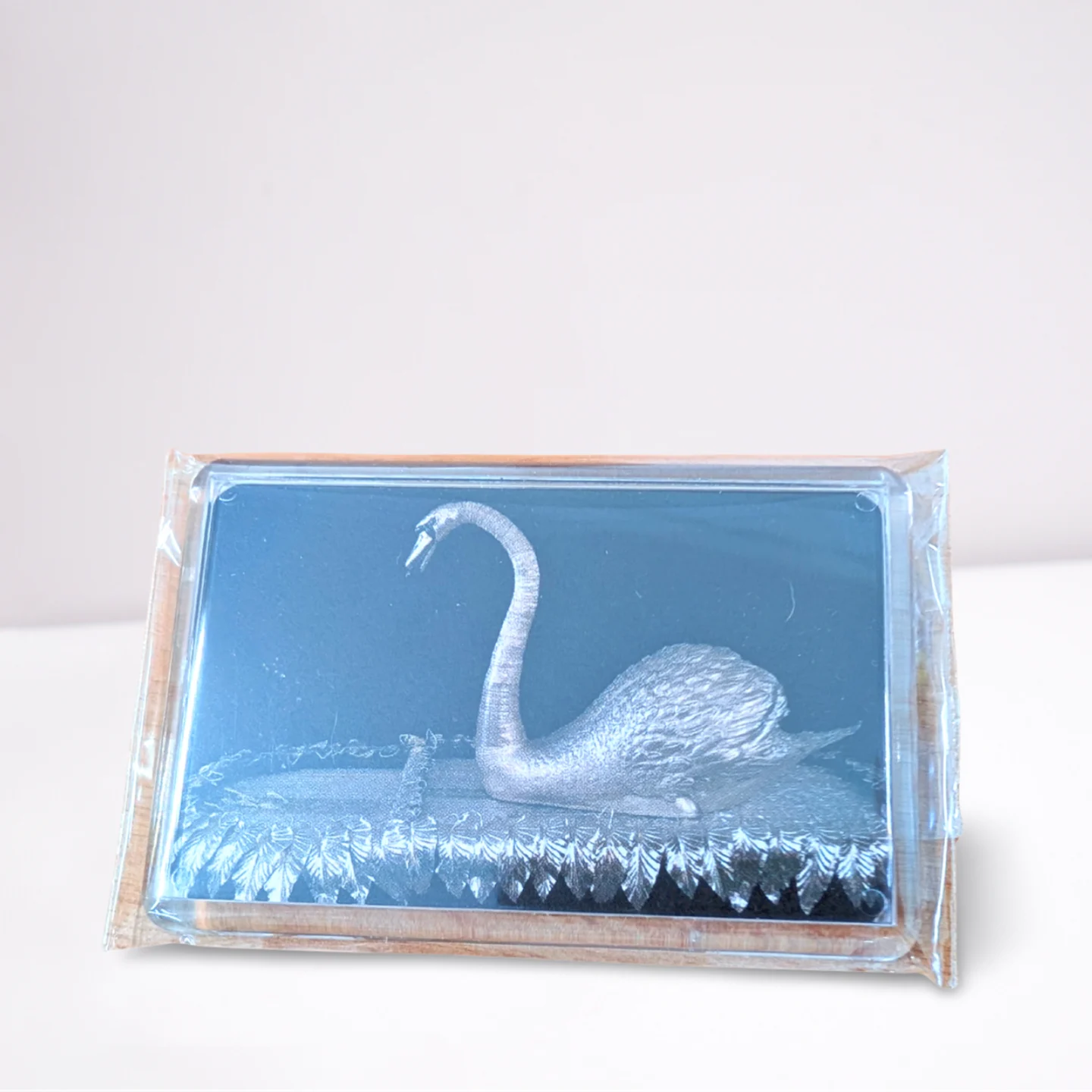 Silver Swan Fridge Magnet