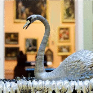 Silver Swan Postcard