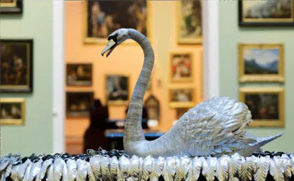 Silver Swan Postcard