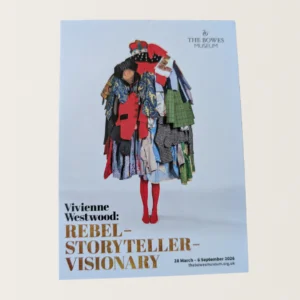 Rebel Storyteller Visionary Postcard